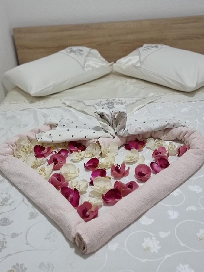 Hostel BellaVista Koper Buitenkant foto